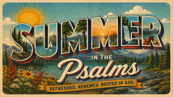 Summer THeme